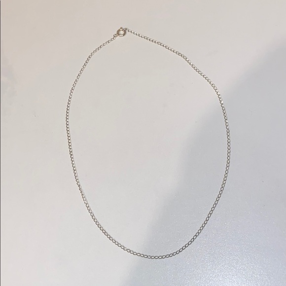 Brandy Melville Jewelry - nwot chain necklace